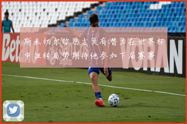 斯米切尔称恩古莫有潜力在世界杯中扭转局势期待他参加下届赛事