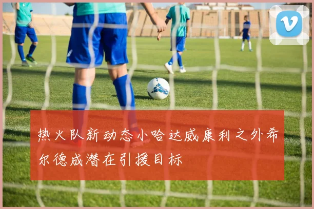 热火队新动态小哈达威康利之外希尔德成潜在引援目标